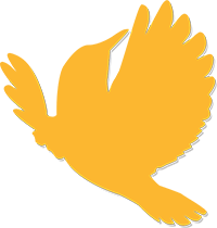 yellow bird