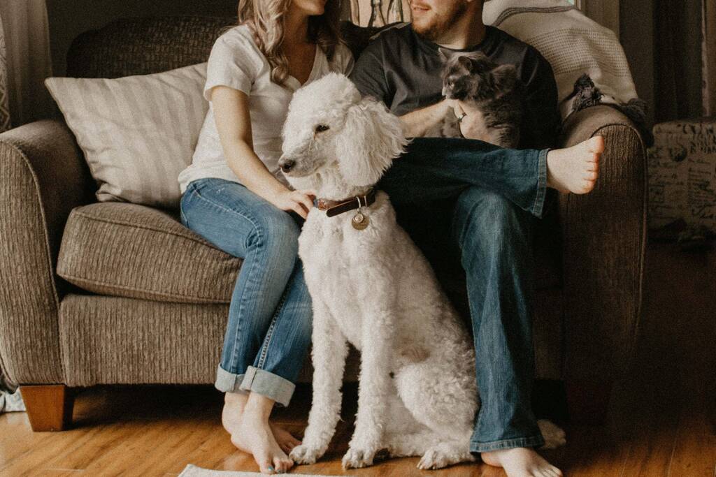 Pet Parents