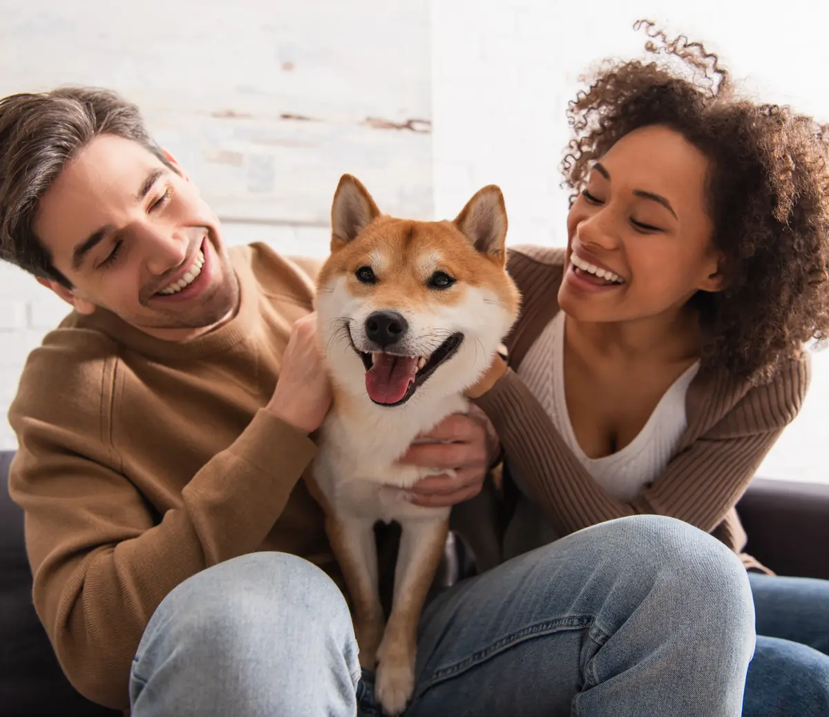 Adobestock 483418052 Adobestock 483418052